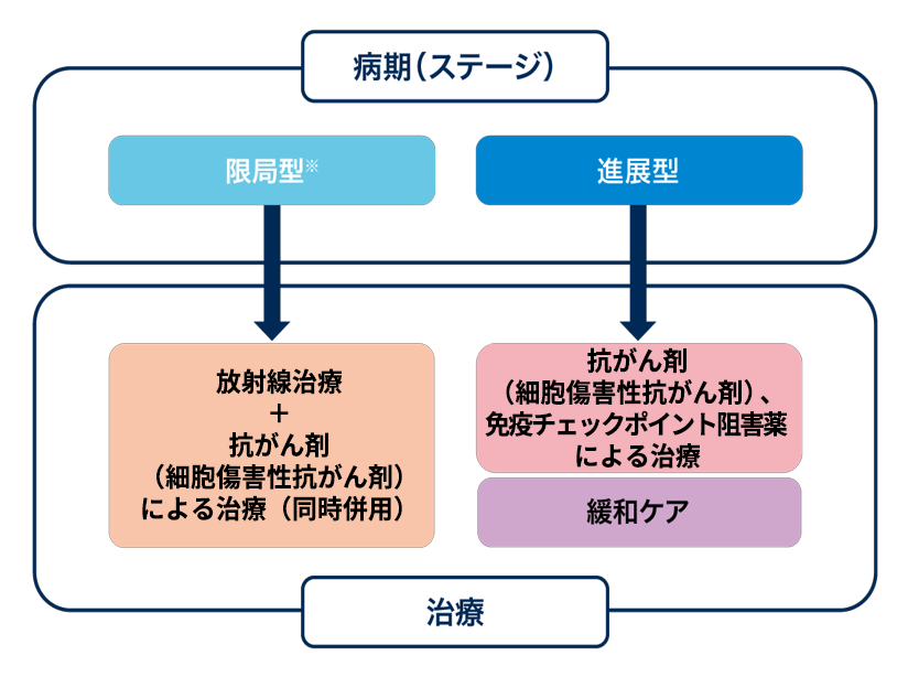 化学療法2
