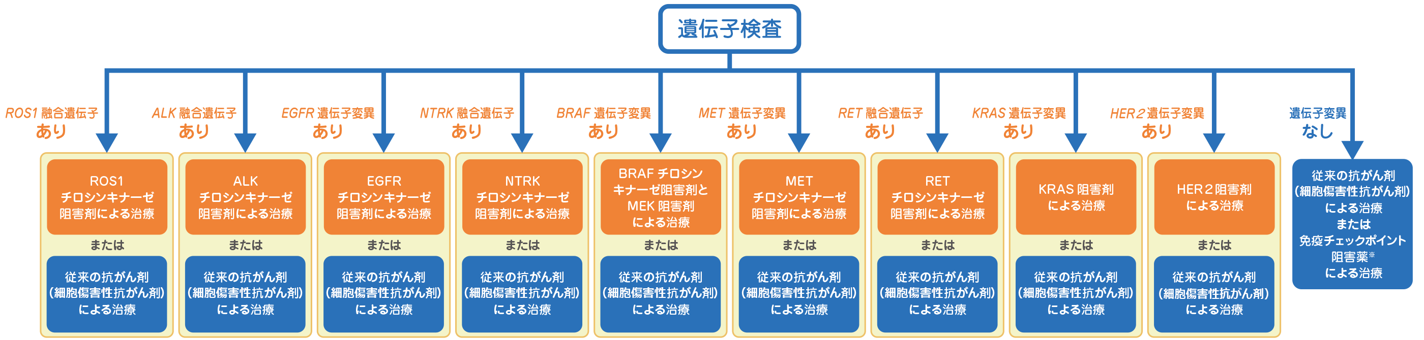 分子標的薬・免疫療法