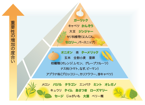 がん予防に効果的な食べ物