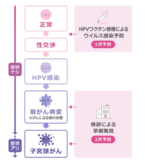 子宮頸がんを予防するワクチン