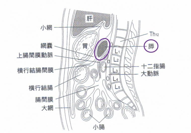 切除可能な状態