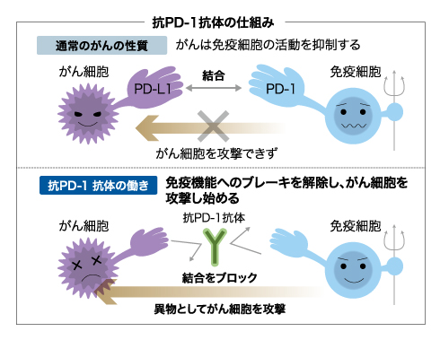 免疫療法