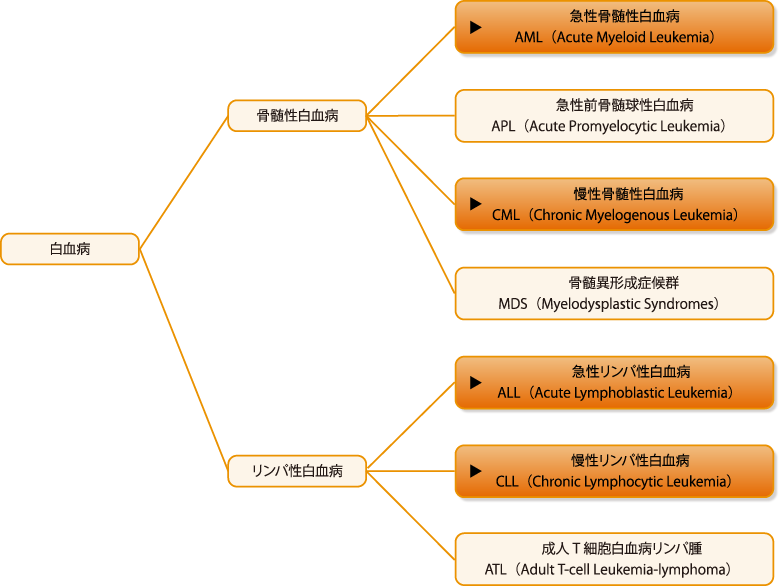 白血病の種類