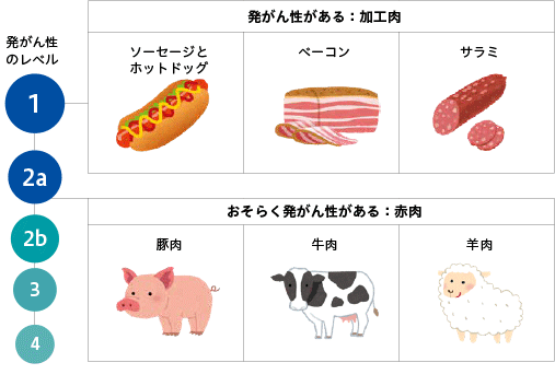 IARCによる発がん性のある食べ物の分類