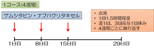 化学療法（抗がん剤治療）2