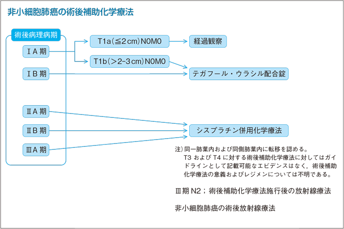 手術後に目に見えないがん細胞をたたく
