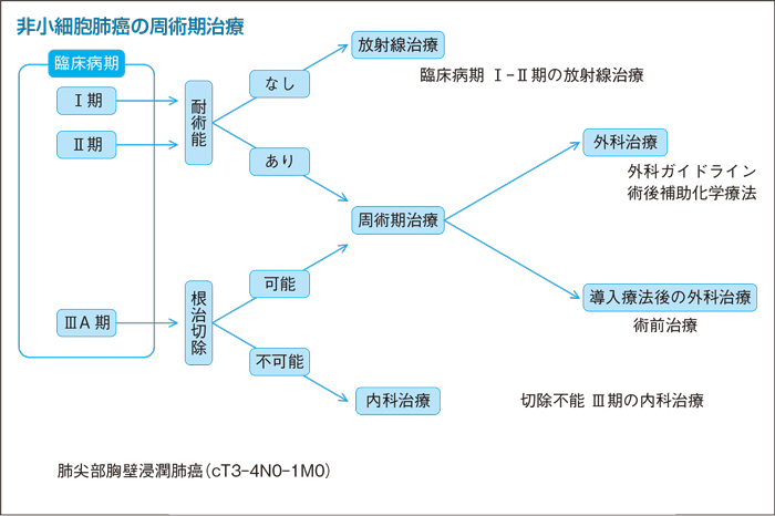 手術前に投与して治療の効果を高める