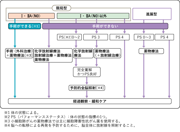 パフォーマンスステータス（PS）と治療選択