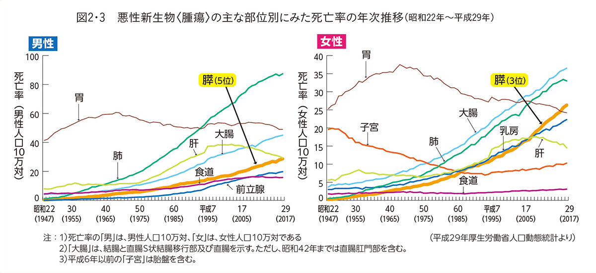 すい臓と食事の関係