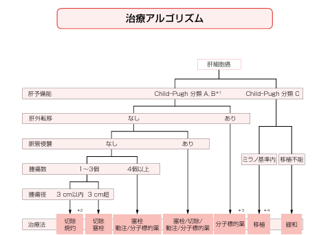肝臓がん治療の決め方