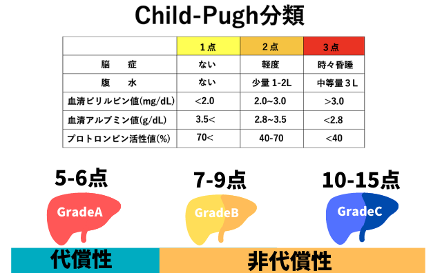 Child-Pugh分類