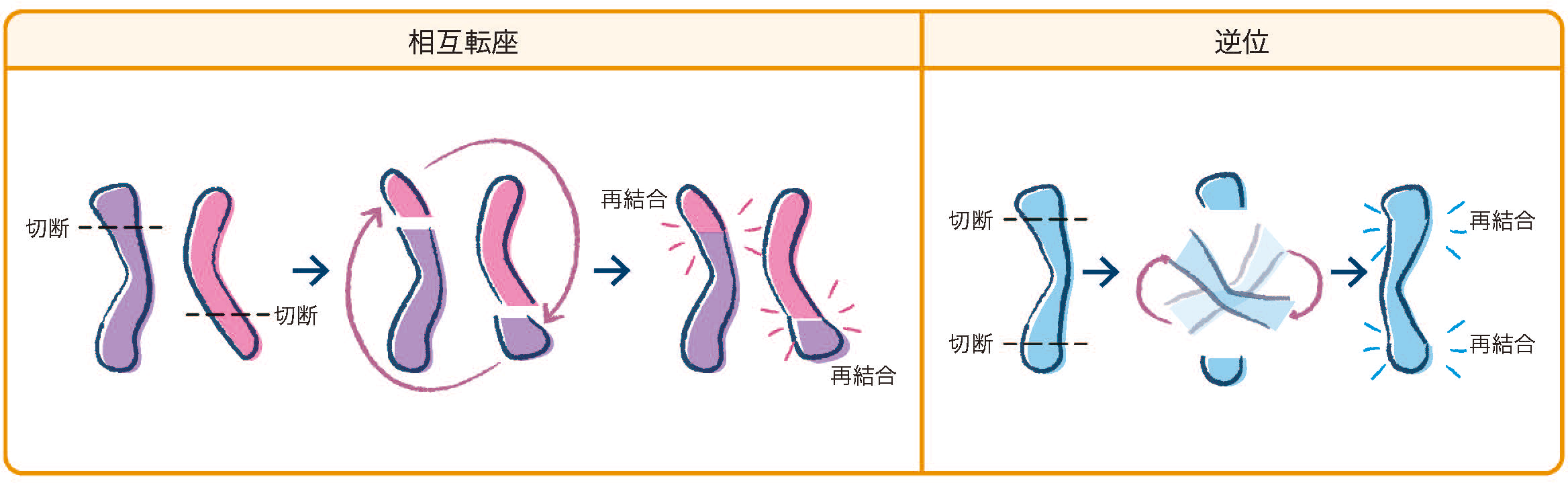 その他の遺伝子異常