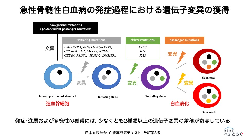 染色体検査・遺伝子検査・表面抗原検査